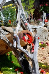 RawUnion2009-83